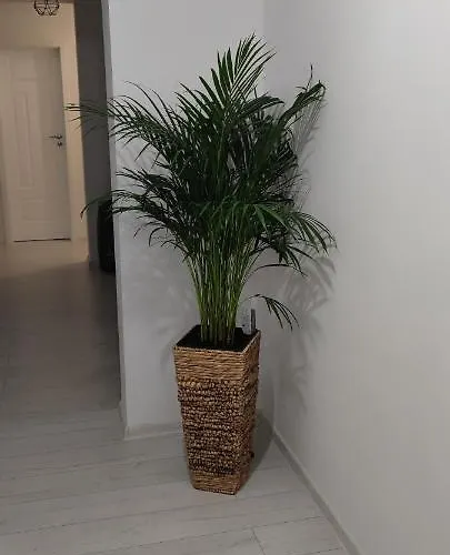 Luca Boutique Apartament