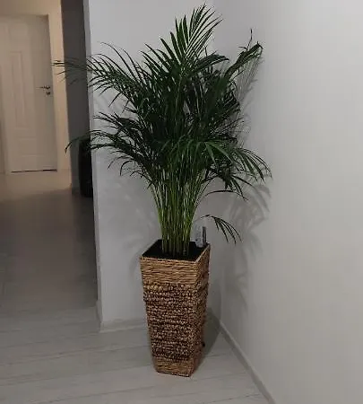 Luca Boutique Apartment